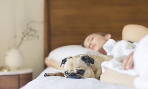 HOW THE CORRECT AMOUNT OF SLEEP CAN BENEFIT YOUR EVERYDAY LIFE