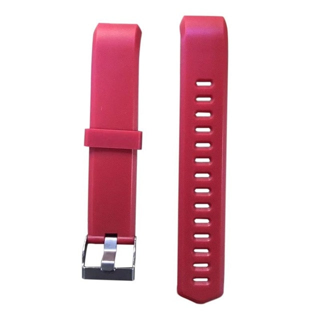 Blood Pressure Monitoring Pedometer
