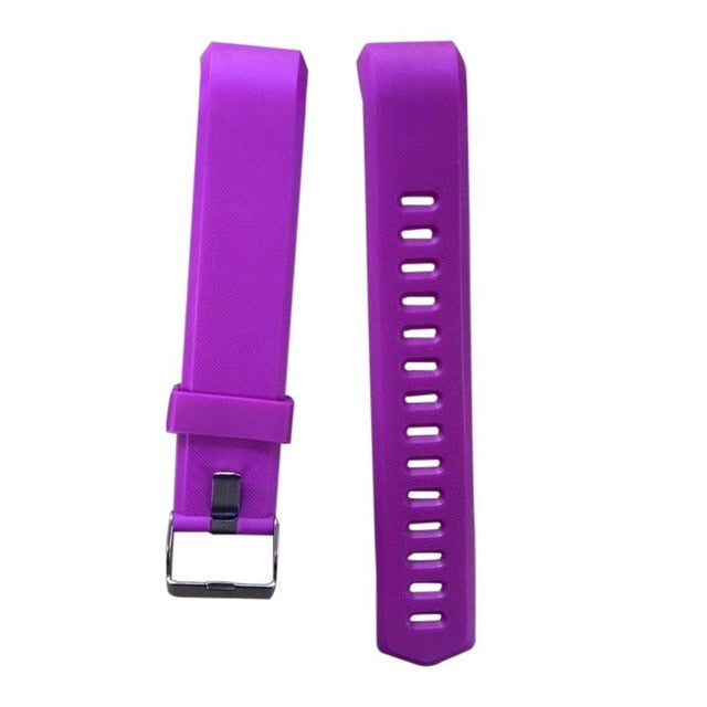 Blood Pressure Monitoring Pedometer