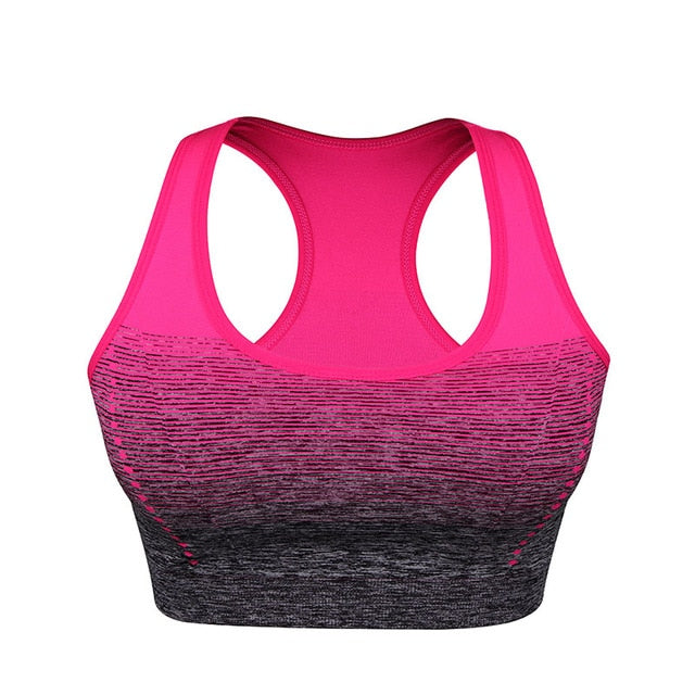 Fitness Sports Bra