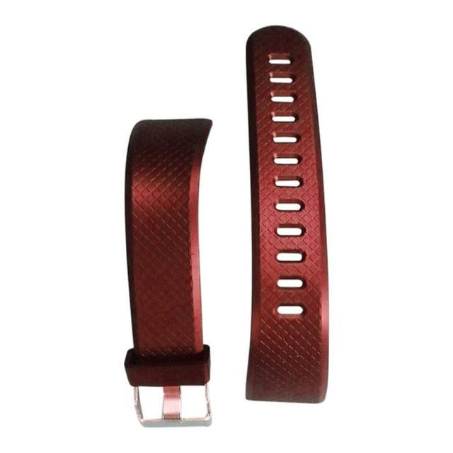Smart Wristband